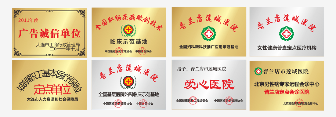 大连开发区玛丽亚医院荣誉奖牌